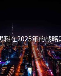91黑料在2025年的战略定位