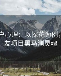 2025用户心理：以探花为例，探花交友项目黑马测灵魂