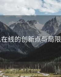91在线的创新点与局限性