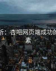 案例分析：杏吧网页端成功的关键因素