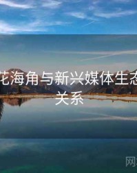 国产探花海角与新兴媒体生态的互动关系