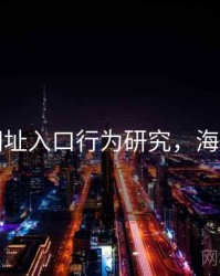 海角网址入口行为研究，海角平台