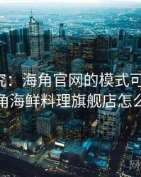深度研究：海角官网的模式可复制性，海角海鲜料理旗舰店怎么样