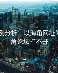 2025案例分析：以海角网址为例，海角论坛打不开
