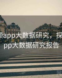探花视频app大数据研究，探花视频app大数据研究报告