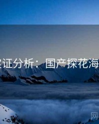 实证分析：国产探花海角