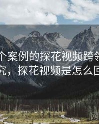 基于56个案例的探花视频跨领域研究研究，探花视频是怎么回事
