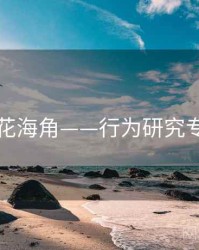 国产探花海角——行为研究专题研究