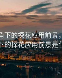 技术视角下的探花应用前景，技术视角下的探花应用前景是什么
