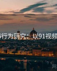 2025行为研究：以91视频为例