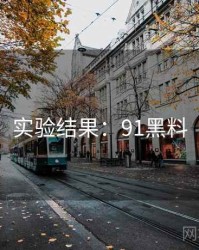 实验结果：91黑料