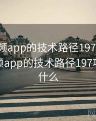 探花视频app的技术路径197项发现，探花视频app的技术路径197项发现是什么