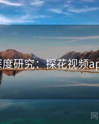 深度研究：探花视频app