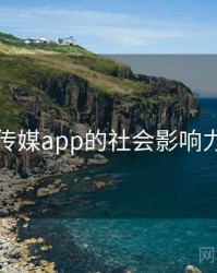 蜜桃传媒app的社会影响力研究