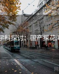 跨学科探讨：国产探花海角