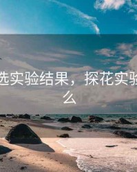 探花精选实验结果，探花实验室是什么