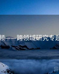 91视频——跨领域研究专题研究