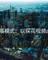 2025发展模式：以探花视频app为例
