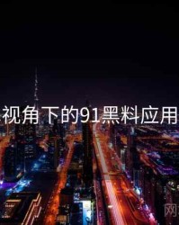 技术视角下的91黑料应用前景