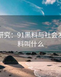 跨学科研究：91黑料与社会发展，黑料叫什么