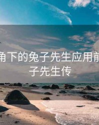 技术视角下的兔子先生应用前景，兔子先生传