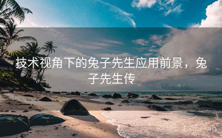 技术视角下的兔子先生应用前景，兔子先生传