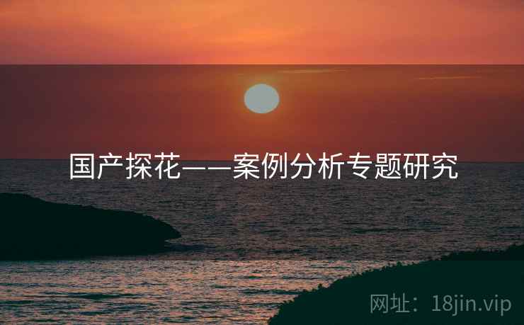 国产探花——案例分析专题研究