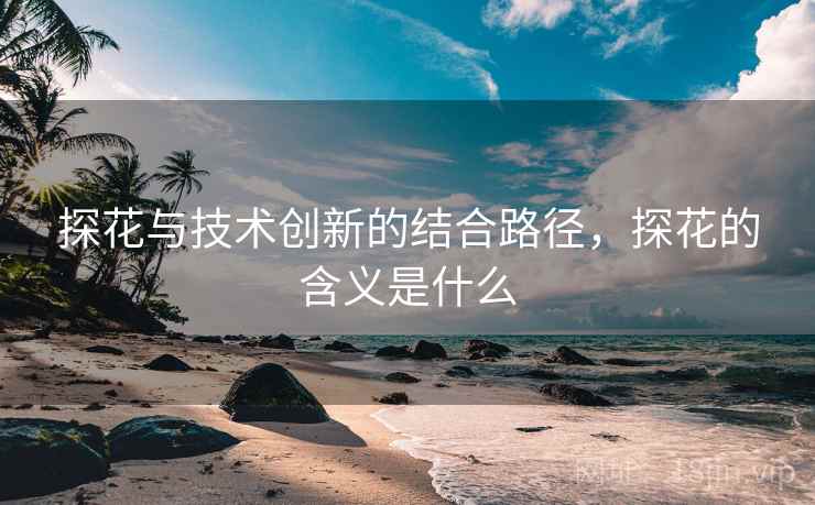 探花与技术创新的结合路径，探花的含义是什么