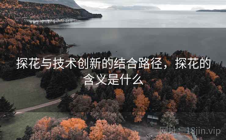 探花与技术创新的结合路径，探花的含义是什么