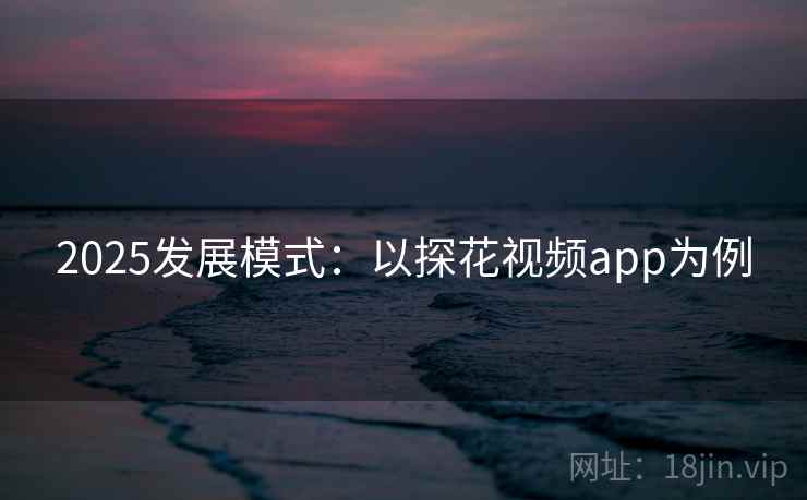 2025发展模式：以探花视频app为例