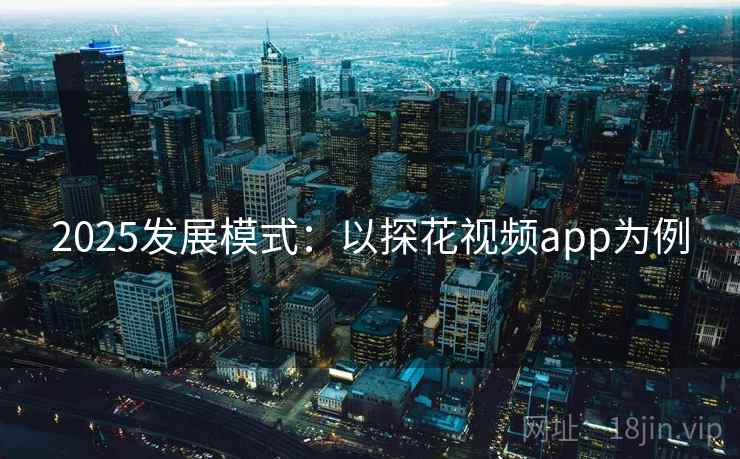 2025发展模式：以探花视频app为例