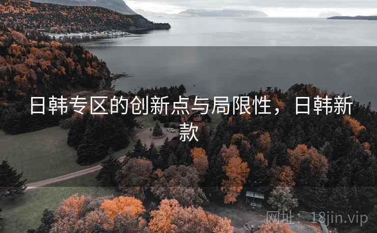 日韩专区的创新点与局限性，日韩新款