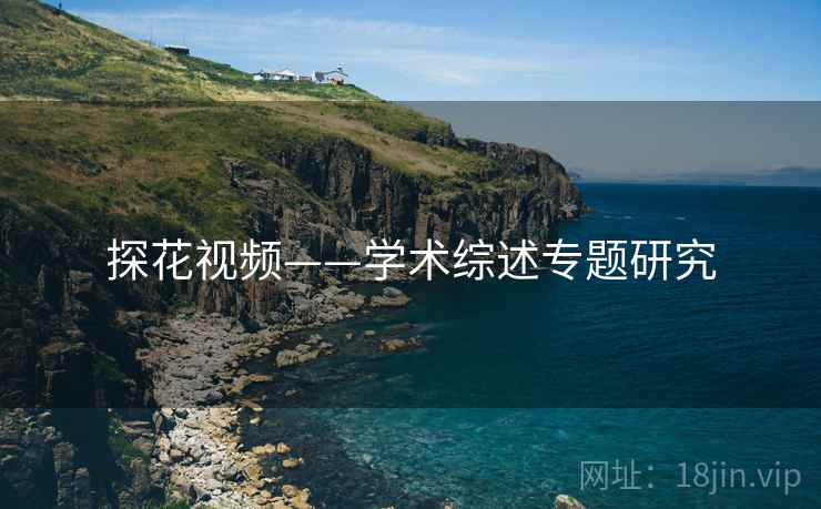 探花视频——学术综述专题研究