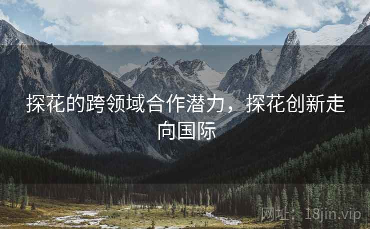 探花的跨领域合作潜力，探花创新走向国际
