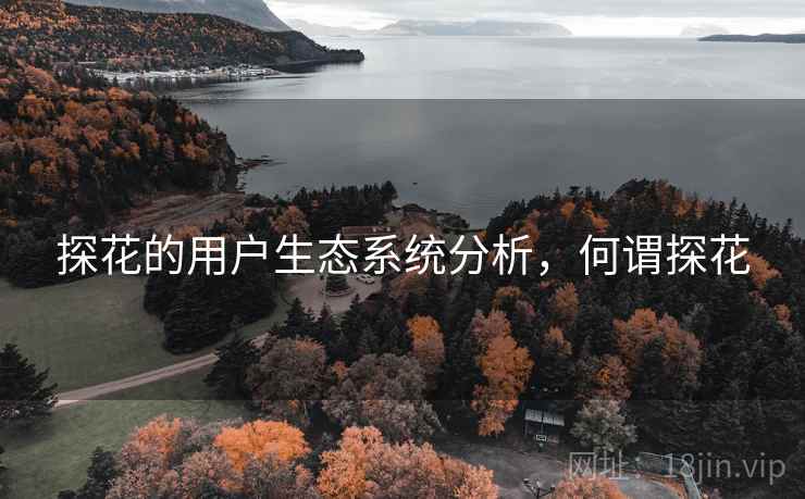 探花的用户生态系统分析，何谓探花