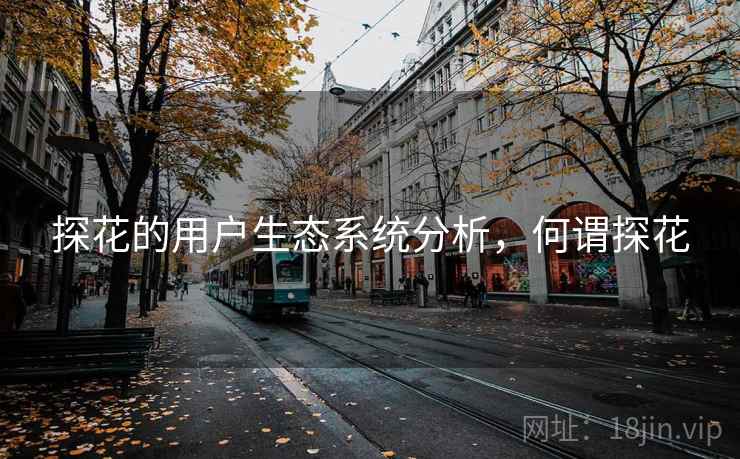 探花的用户生态系统分析，何谓探花
