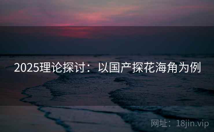 2025理论探讨：以国产探花海角为例