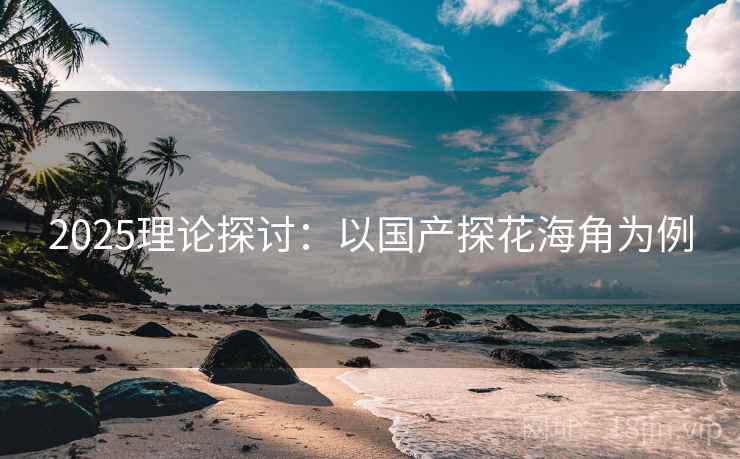 2025理论探讨：以国产探花海角为例