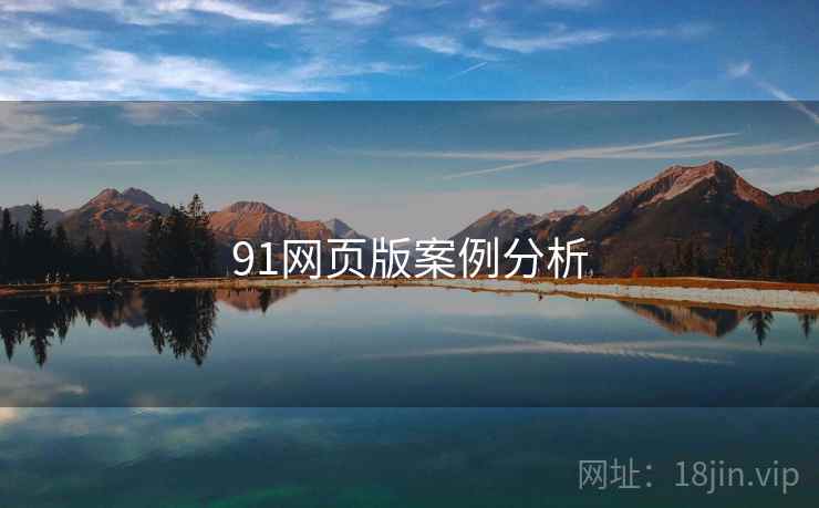 91网页版案例分析