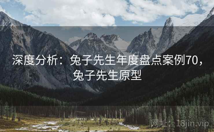 深度分析：兔子先生年度盘点案例70，兔子先生原型