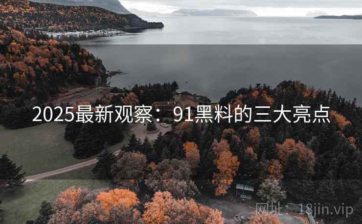 2025最新观察：91黑料的三大亮点