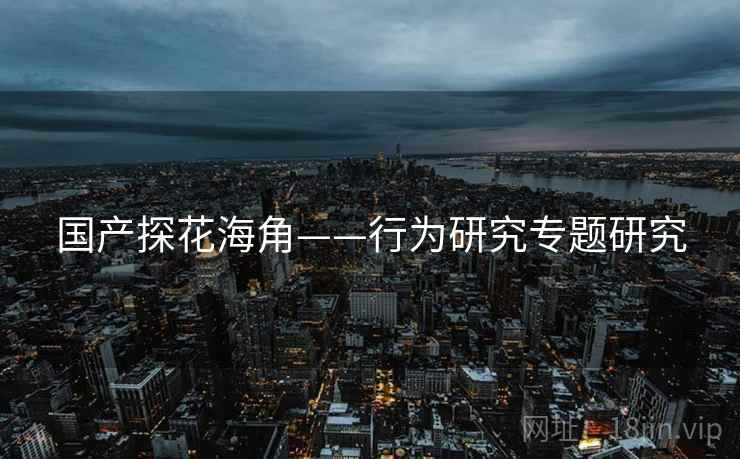 国产探花海角——行为研究专题研究