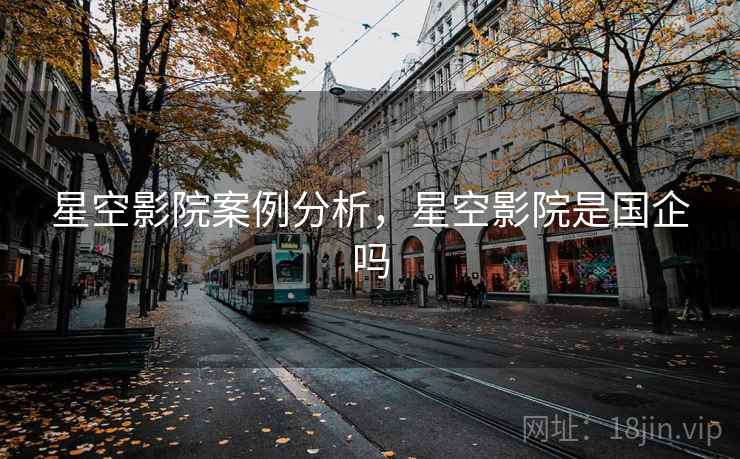 星空影院案例分析，星空影院是国企吗