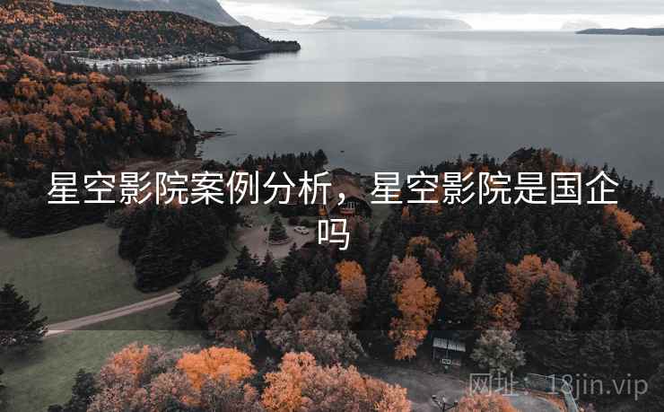 星空影院案例分析，星空影院是国企吗
