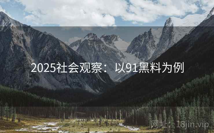 2025社会观察：以91黑料为例