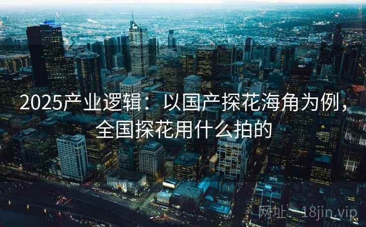 2025产业逻辑：以国产探花海角为例，全国探花用什么拍的