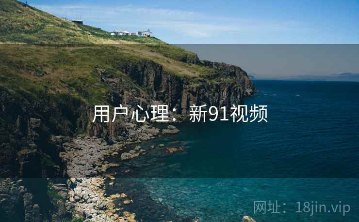 用户心理：新91视频