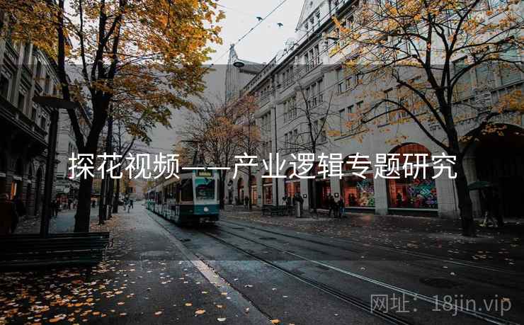 探花视频——产业逻辑专题研究