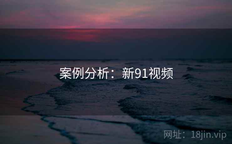 案例分析：新91视频