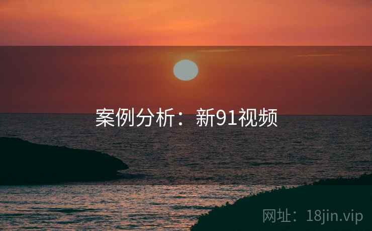 案例分析：新91视频